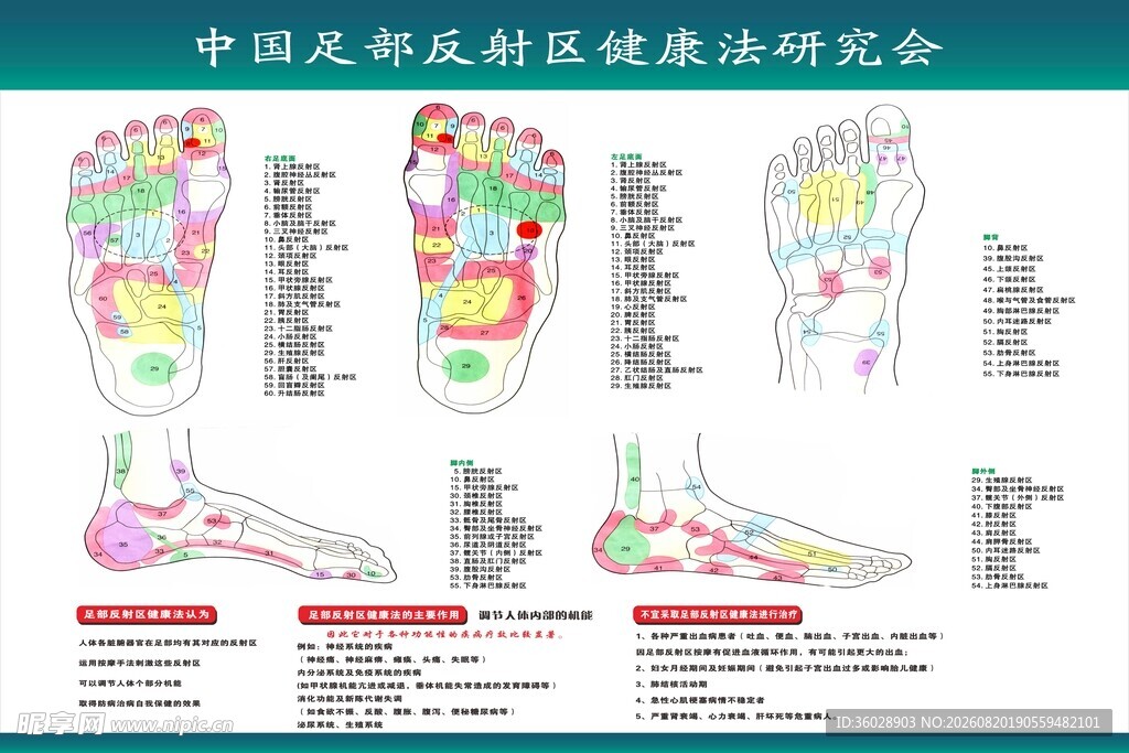 足部反射区海报