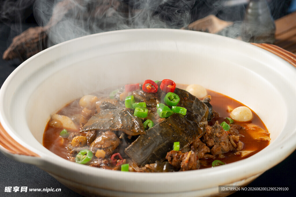 红烧甲鱼 砂锅甲鱼 甲鱼煲 热