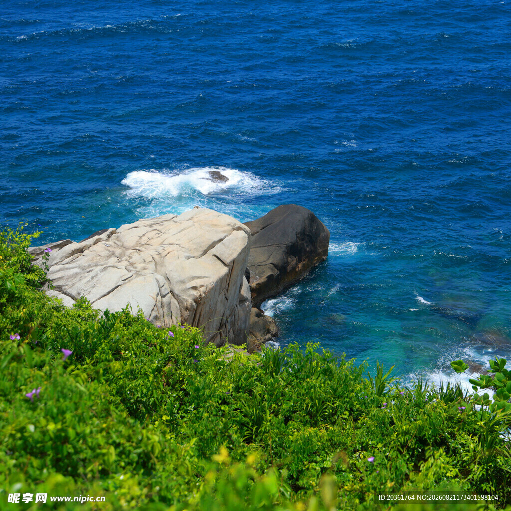 海边岩石与葱郁绿植景观