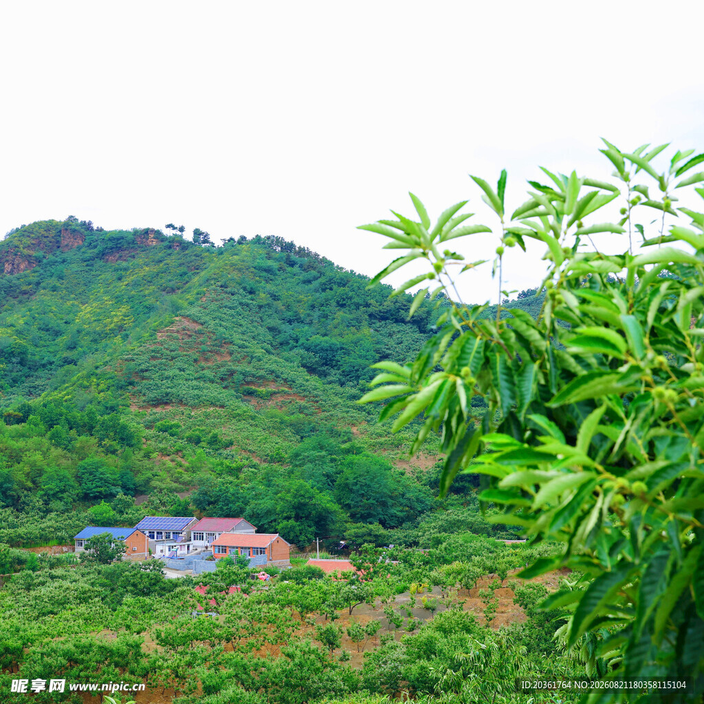 青山环绕中的静谧村落