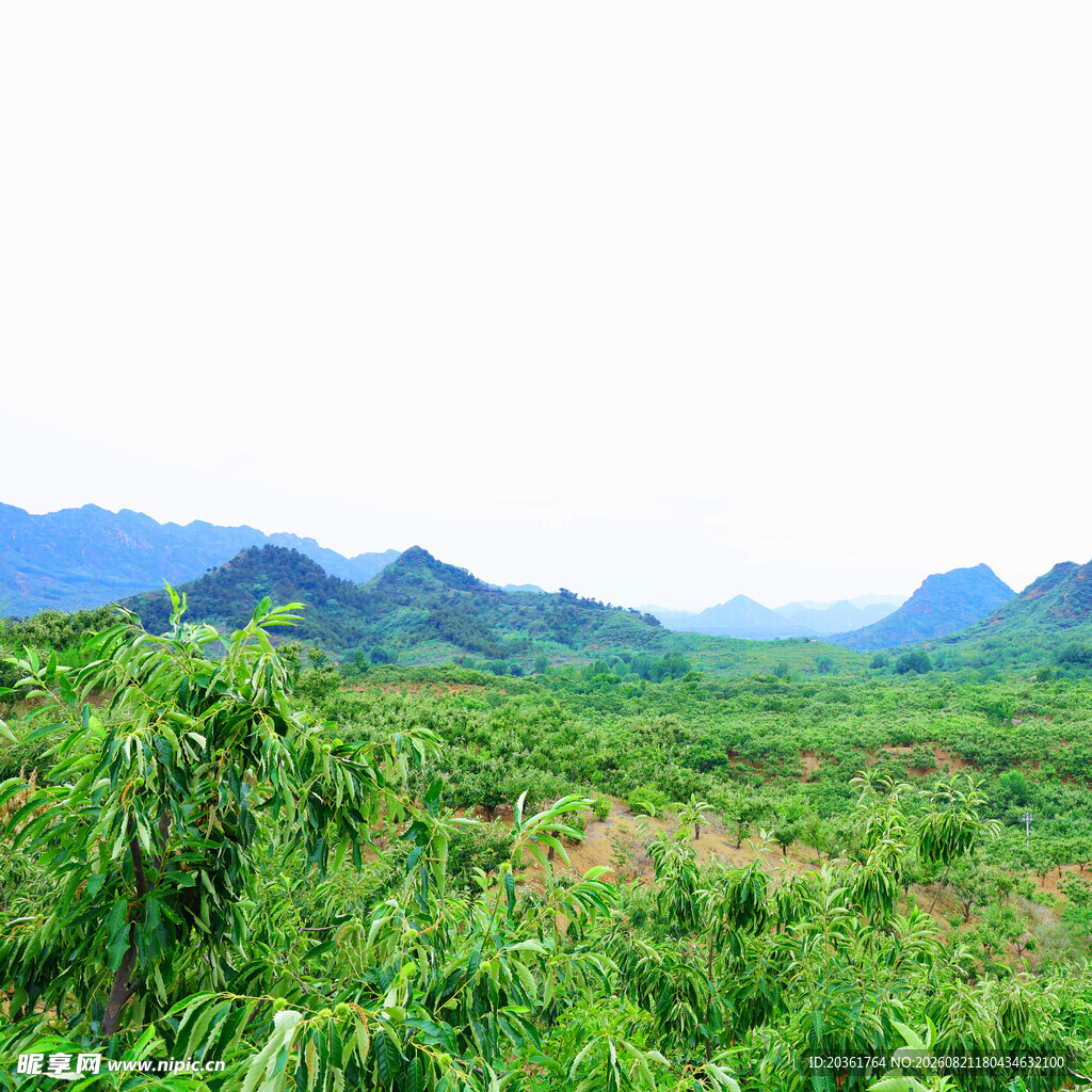 绿野青山间的自然景致