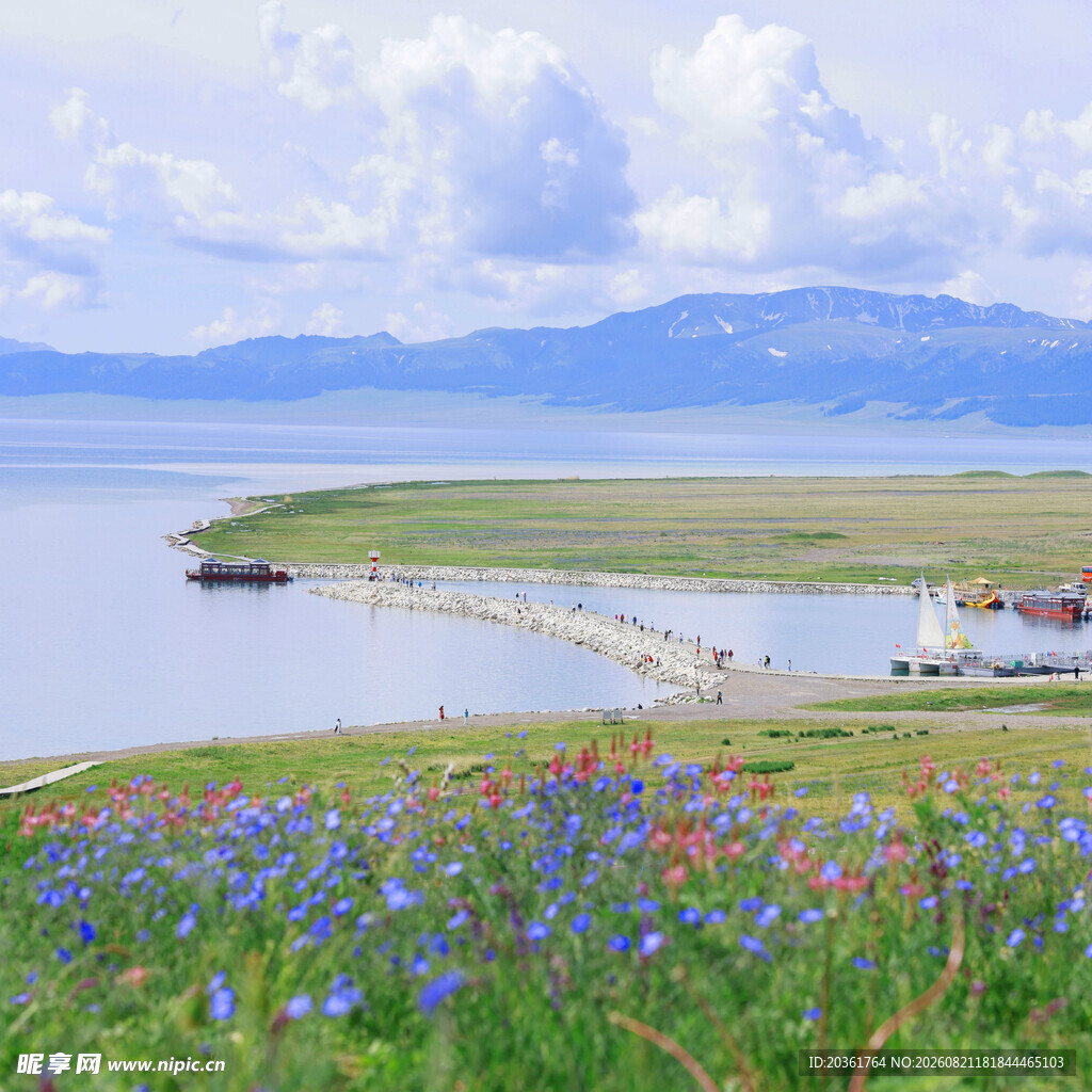 湖畔花海美景