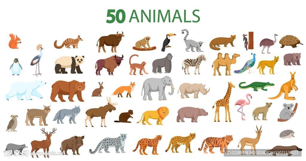 50种动物集合插画