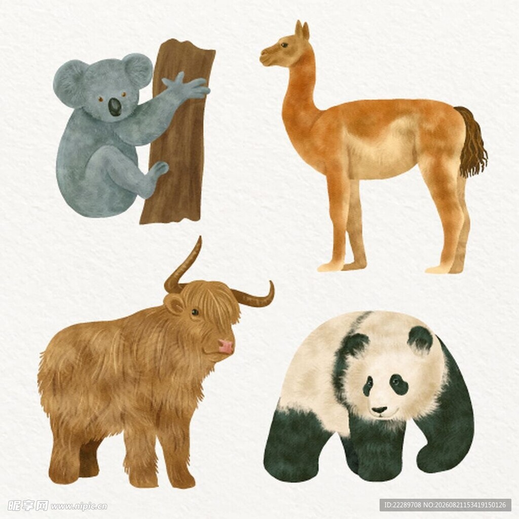 可爱动物插画集合