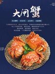 大闸蟹美食特写