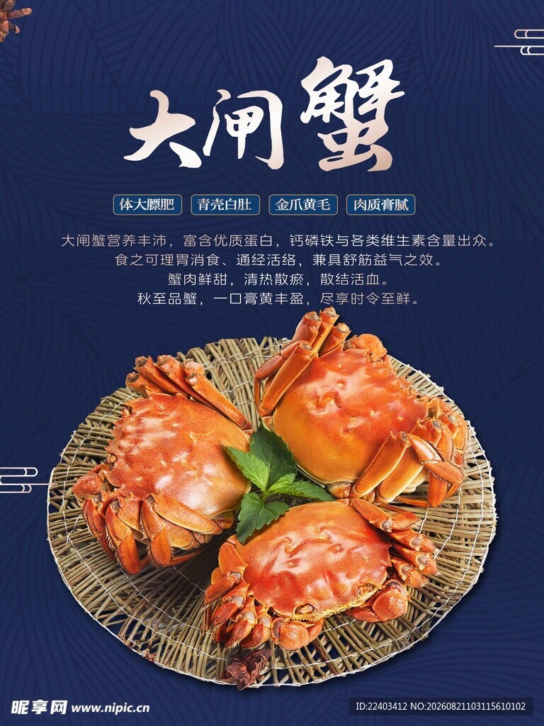 大闸蟹美食特写