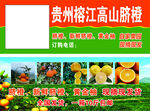 脐橙代金券