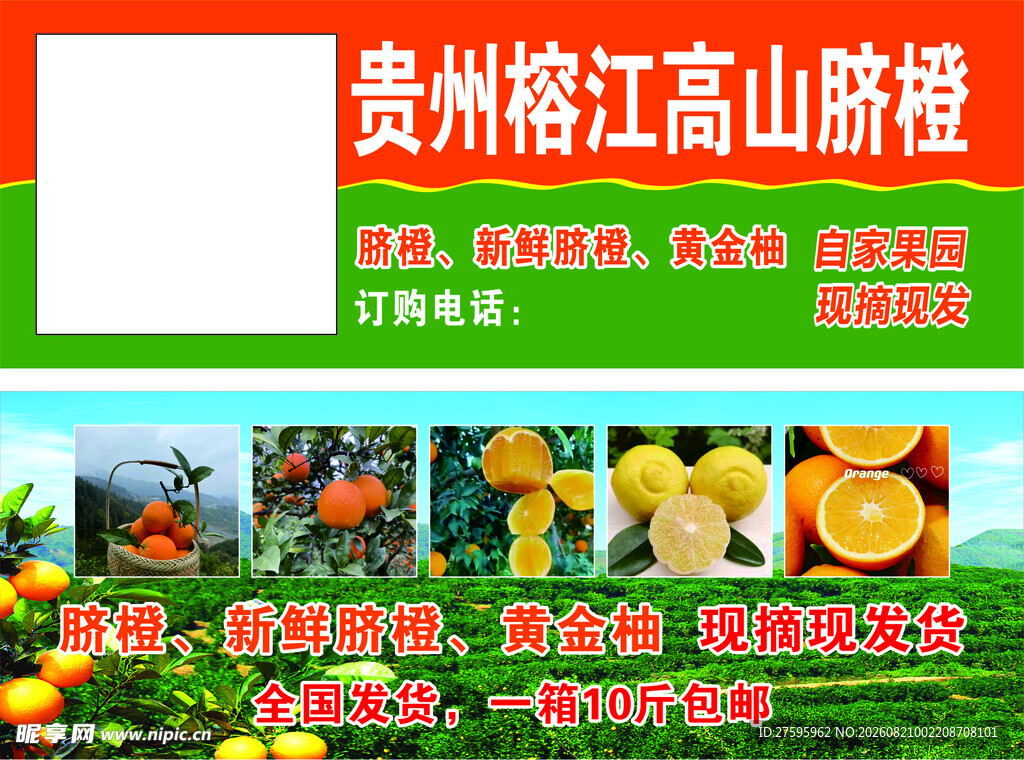 脐橙代金券