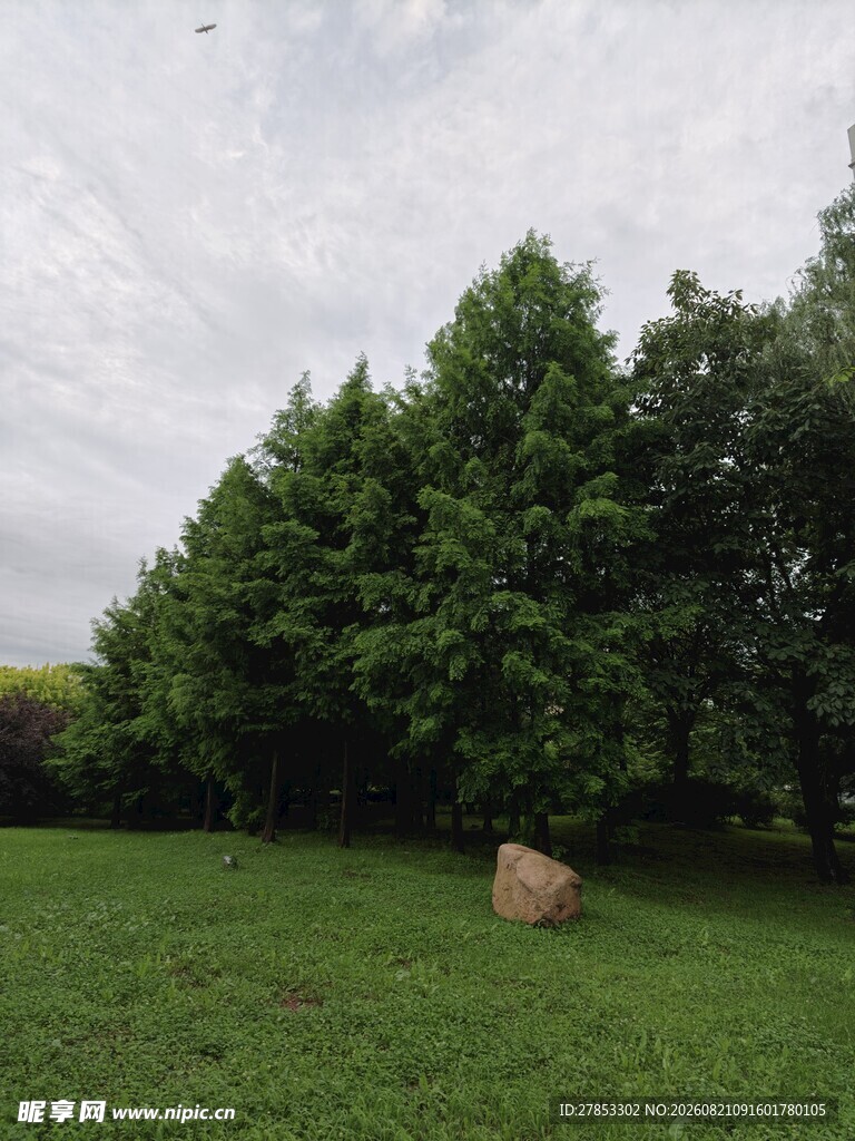 草地绿树间的巨石