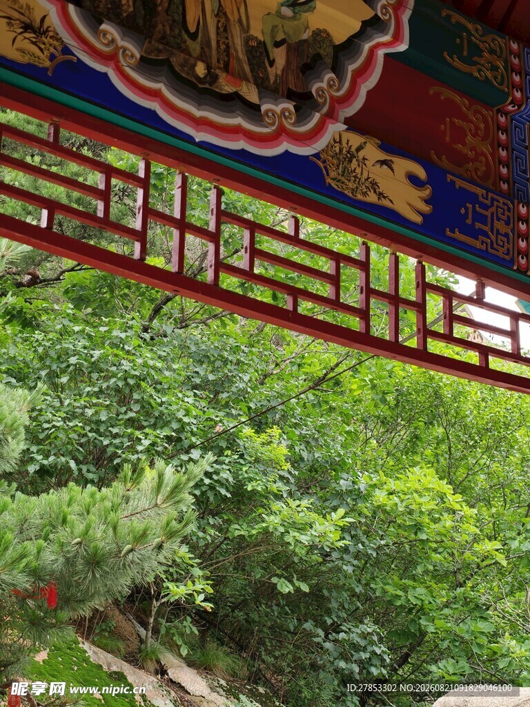 中式亭台望葱郁绿意