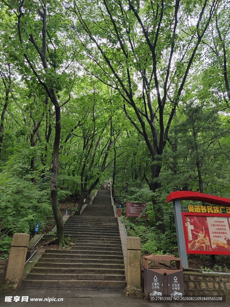 林间石阶旁的红色宣传栏
