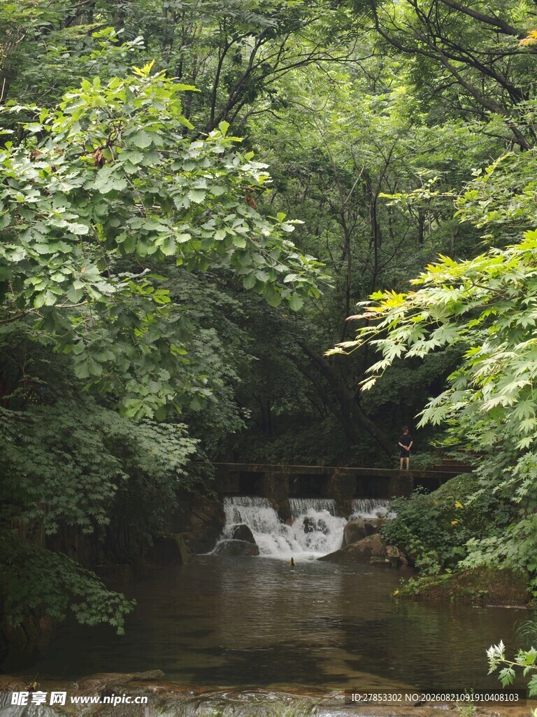 山林间的潺潺溪流
