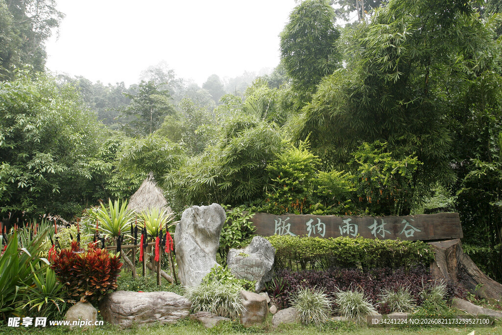 山林中的精致花园景观