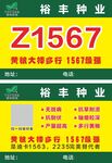 裕丰种业纯文字排版