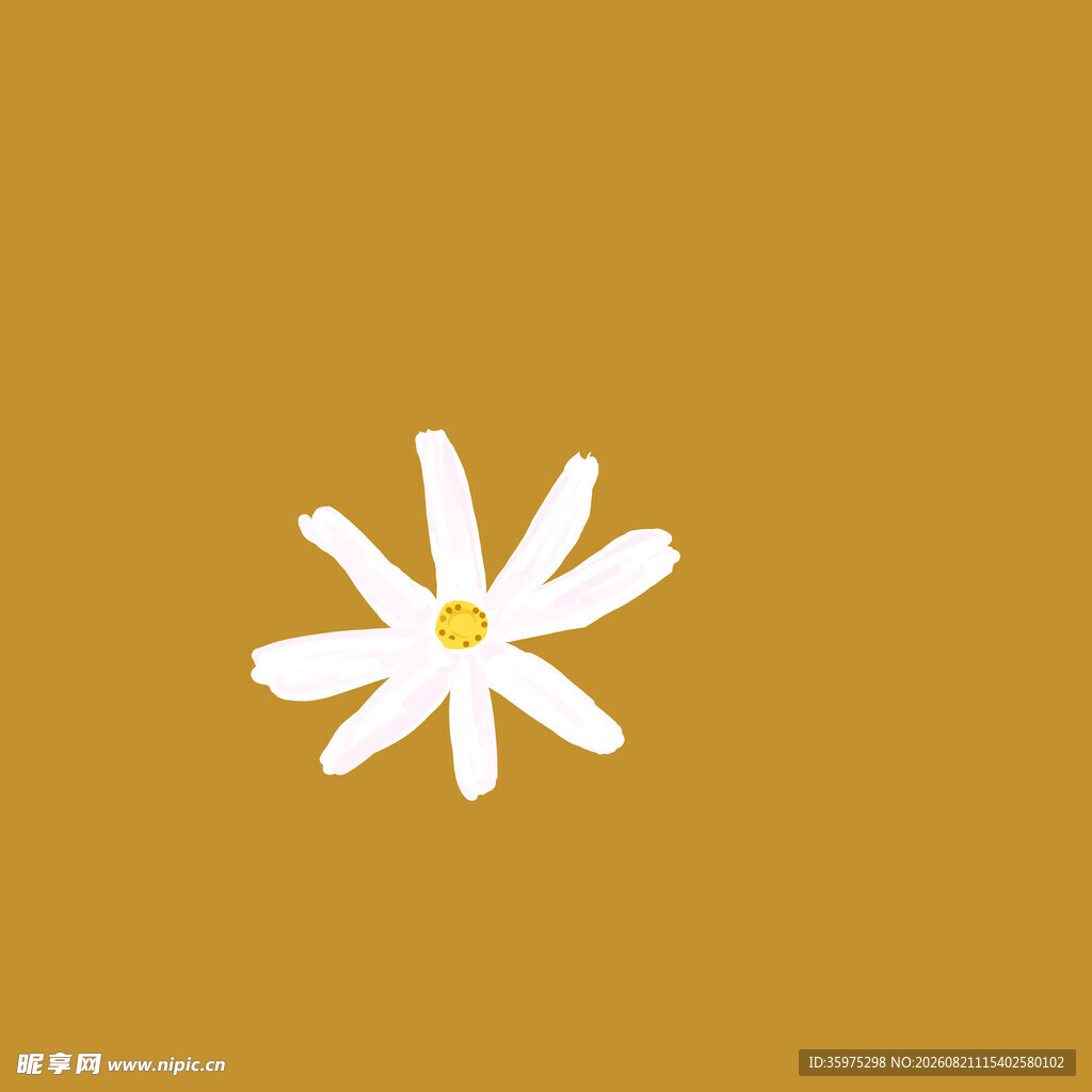 白色小花