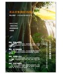 森林瀑布美景宣传页