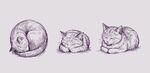 手绘猫咪素材