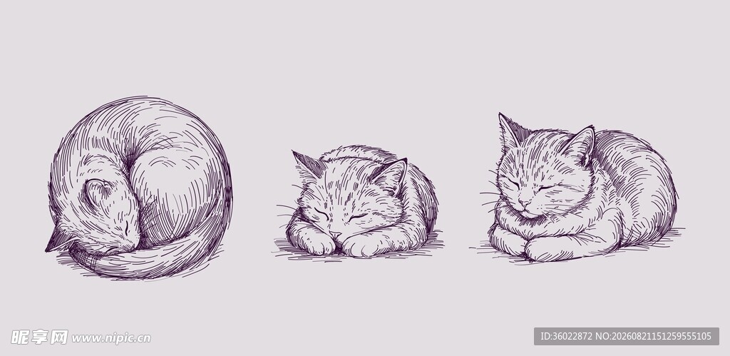 手绘猫咪素材