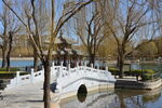 公园风景  