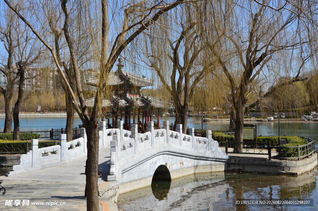 公园风景  