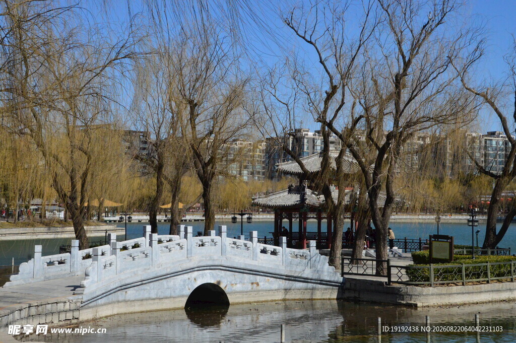 公园风景 