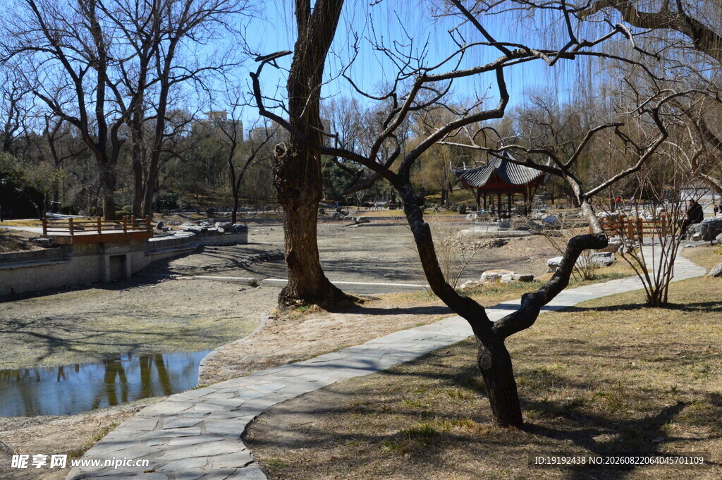 公园风景  