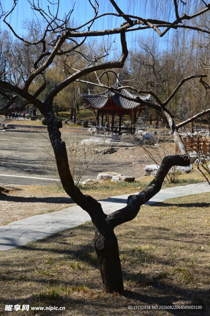 公园风景  