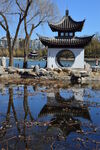 公园风景 