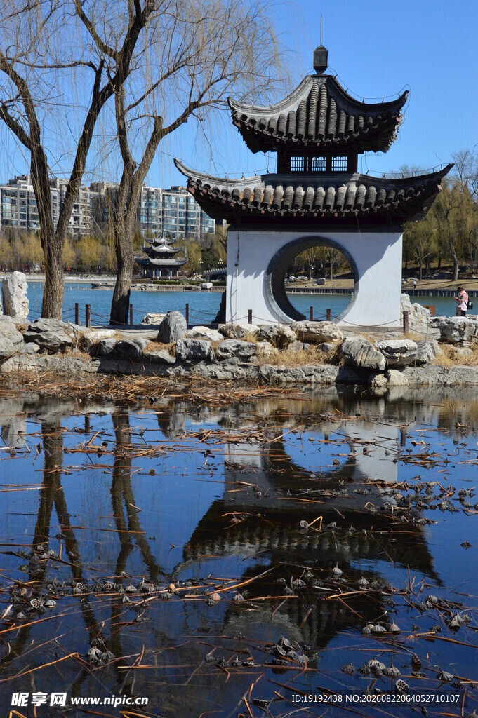 公园风景 