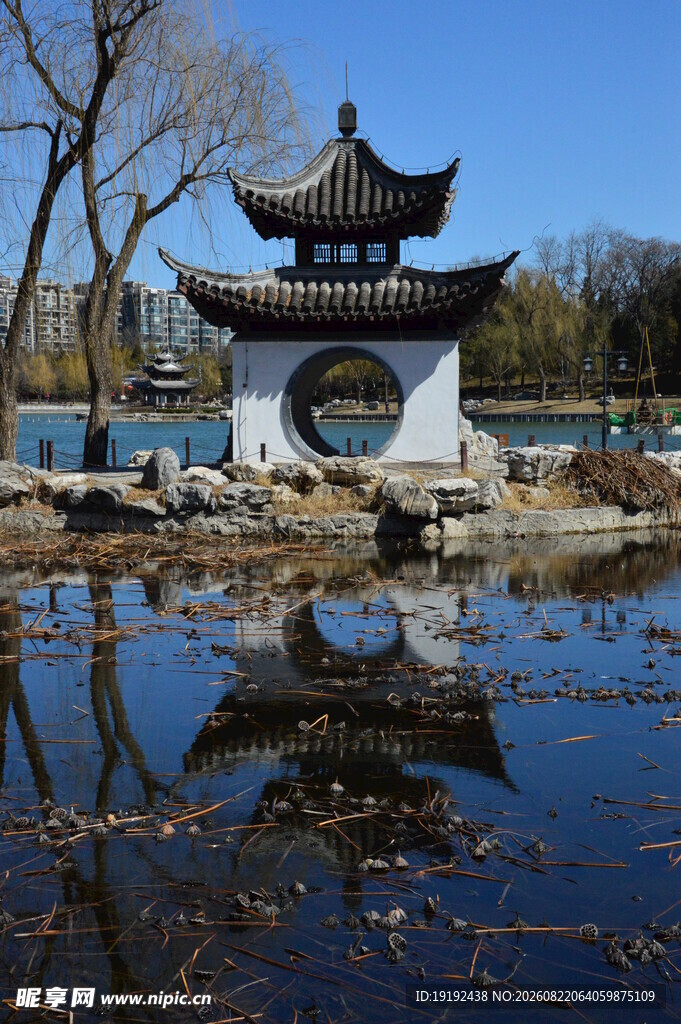 公园风景 