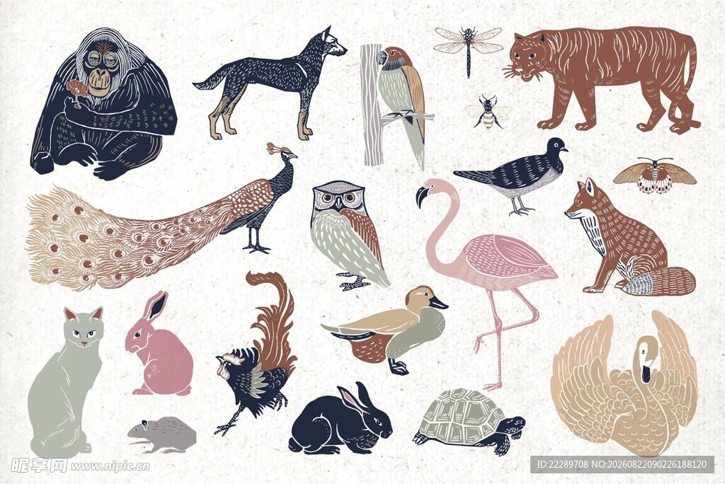 多样动物插画集合