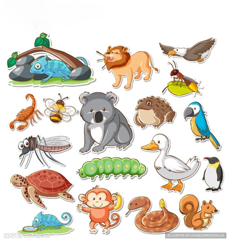 多样动物插画集合