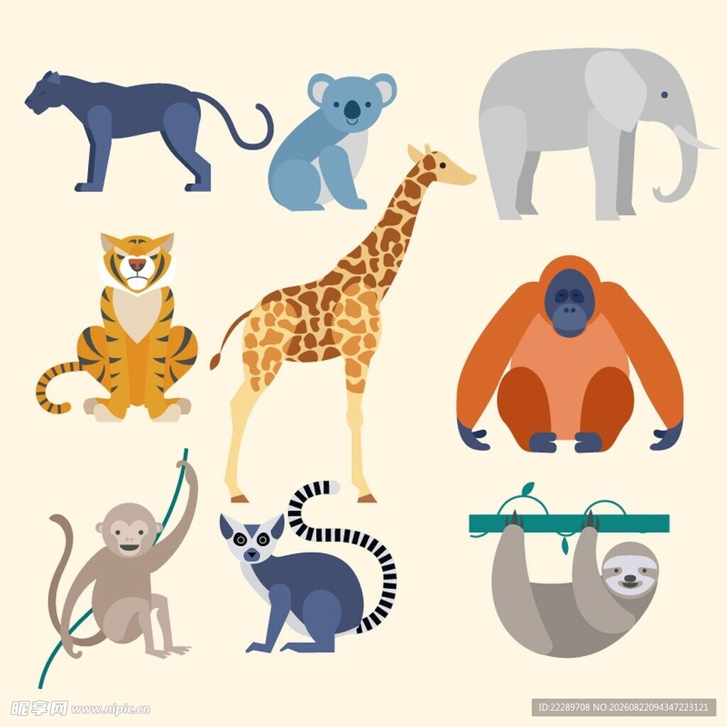 多样野生动物插画集合