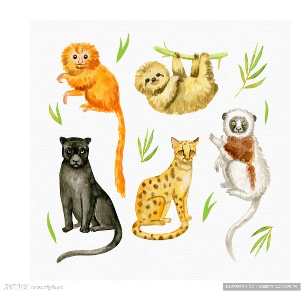 可爱动物插画集合