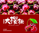 樱桃