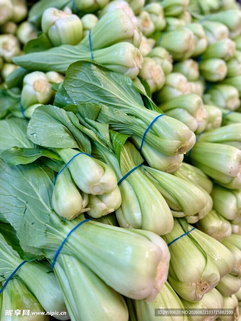 新鲜捆扎青菜