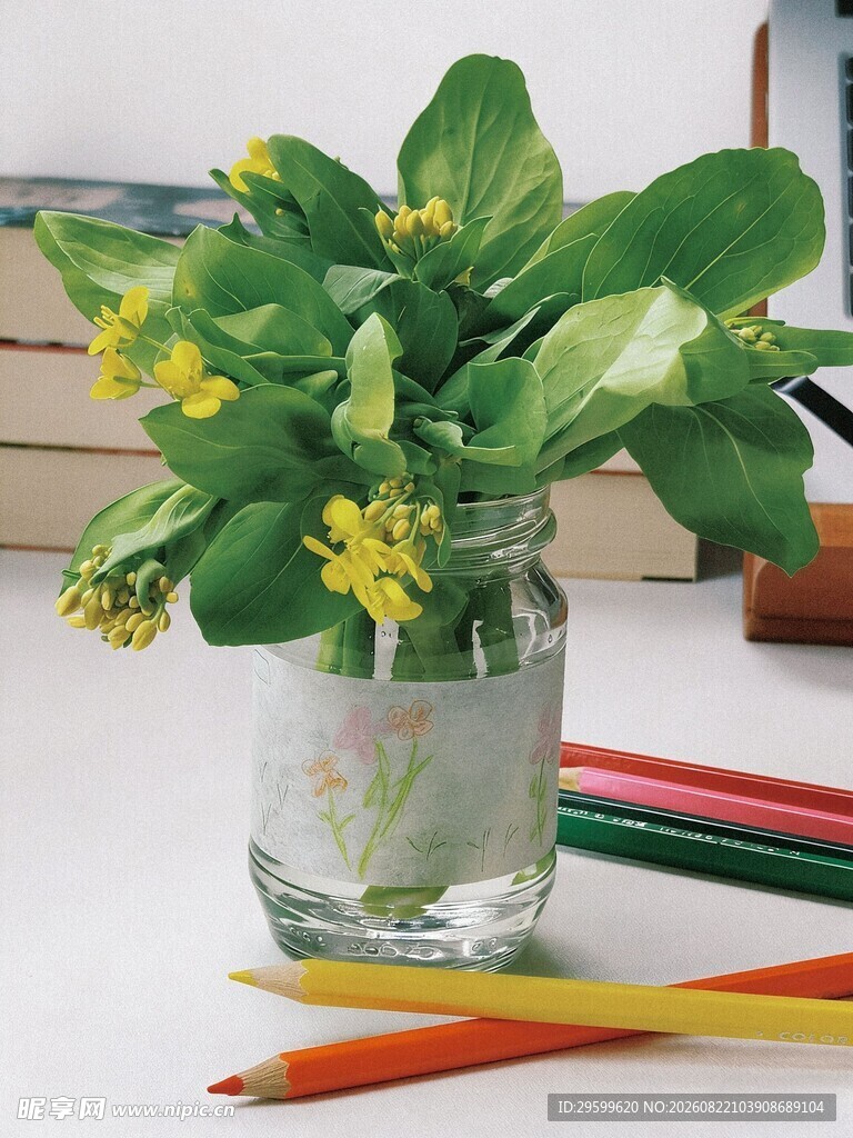 玻璃瓶里的菜心