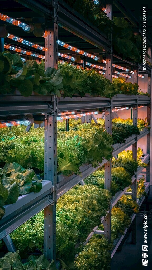 室内垂直农场绿植景观