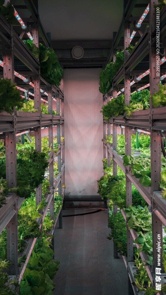 室内垂直农场绿植景观