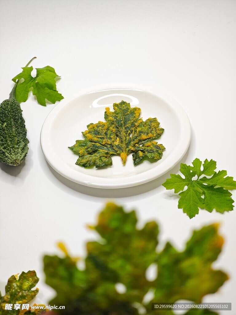 盘中欧芹与周边绿植