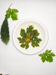 盘中绿叶蔬菜及周边食材