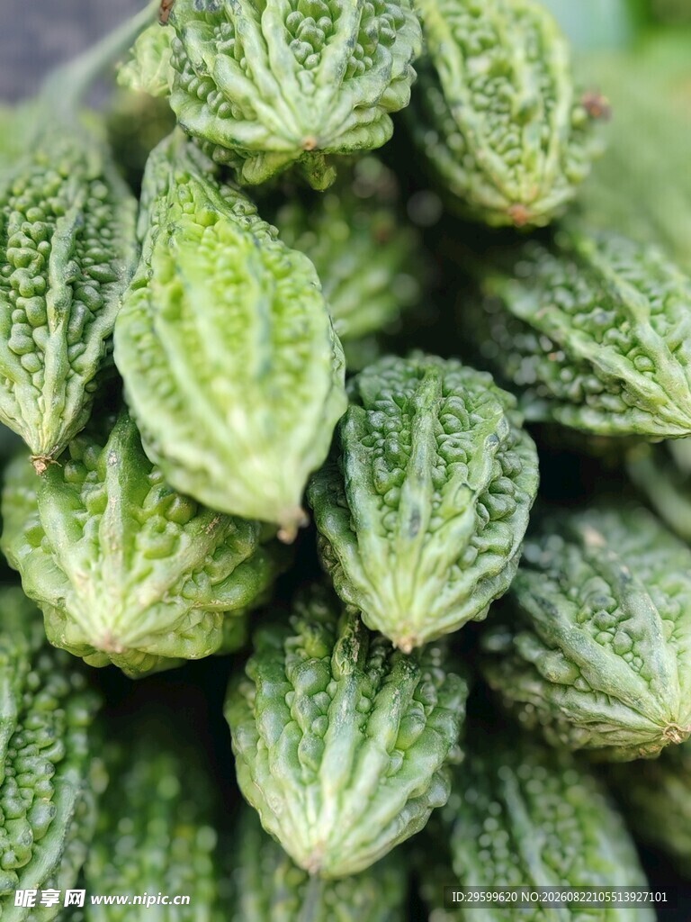 新鲜苦瓜堆叠