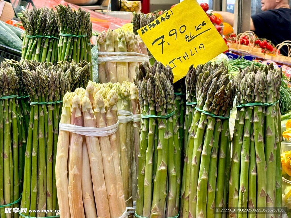 新鲜芦笋待售