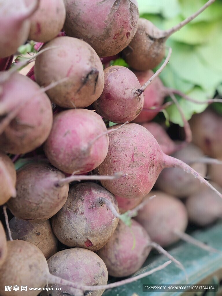 新鲜甜菜堆叠