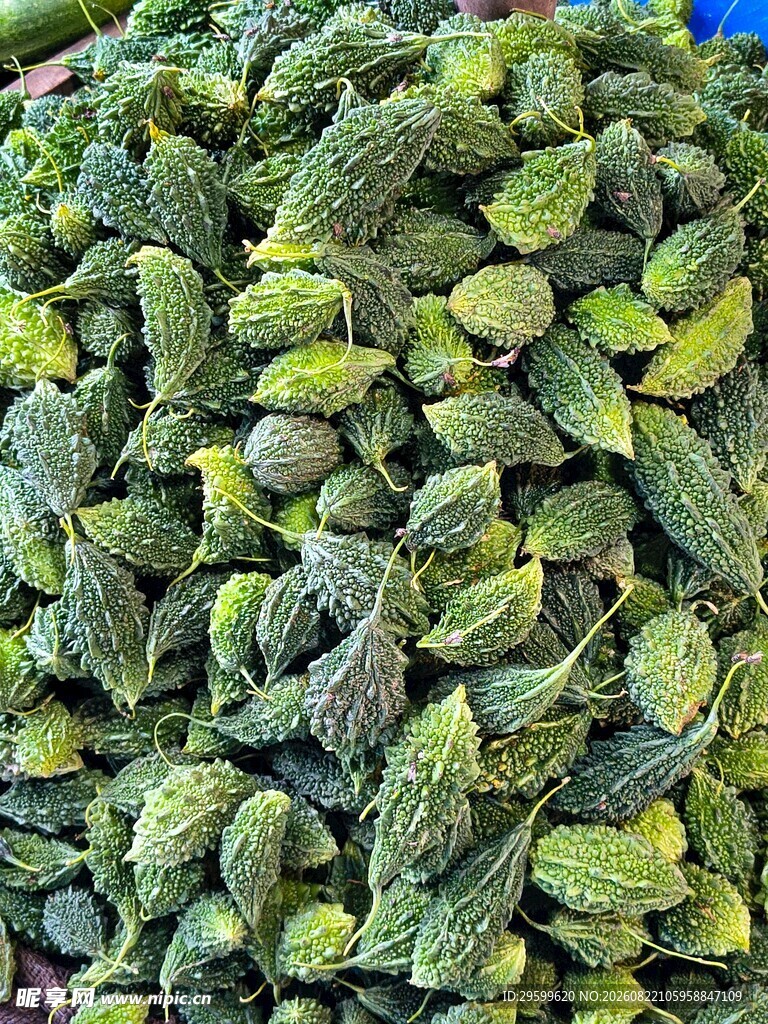 一堆绿色苦瓜特写