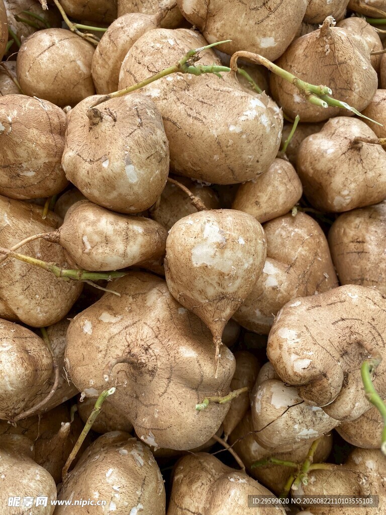 一堆新鲜凉薯