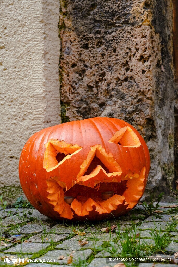 万圣节南瓜灯置于石旁