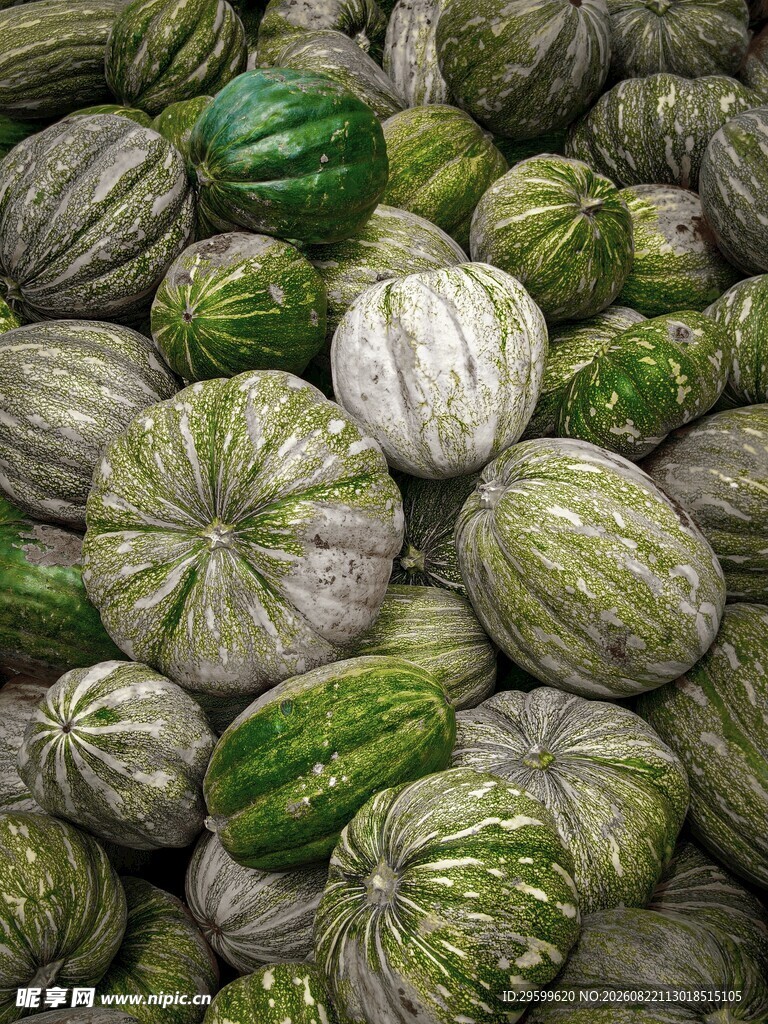一堆花纹独特的新鲜南瓜