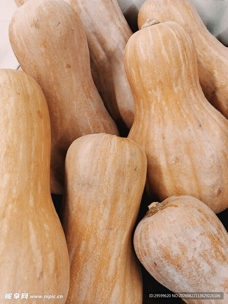 一堆新鲜的南瓜