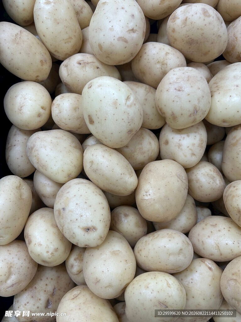 一堆新鲜白土豆